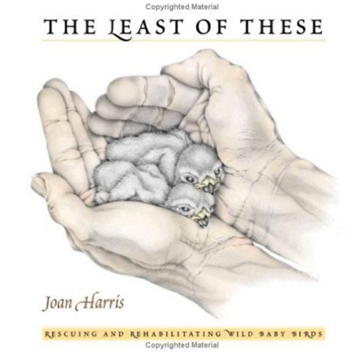 The Least Of These: Wild Baby Bird Rescue Stories Mathematics