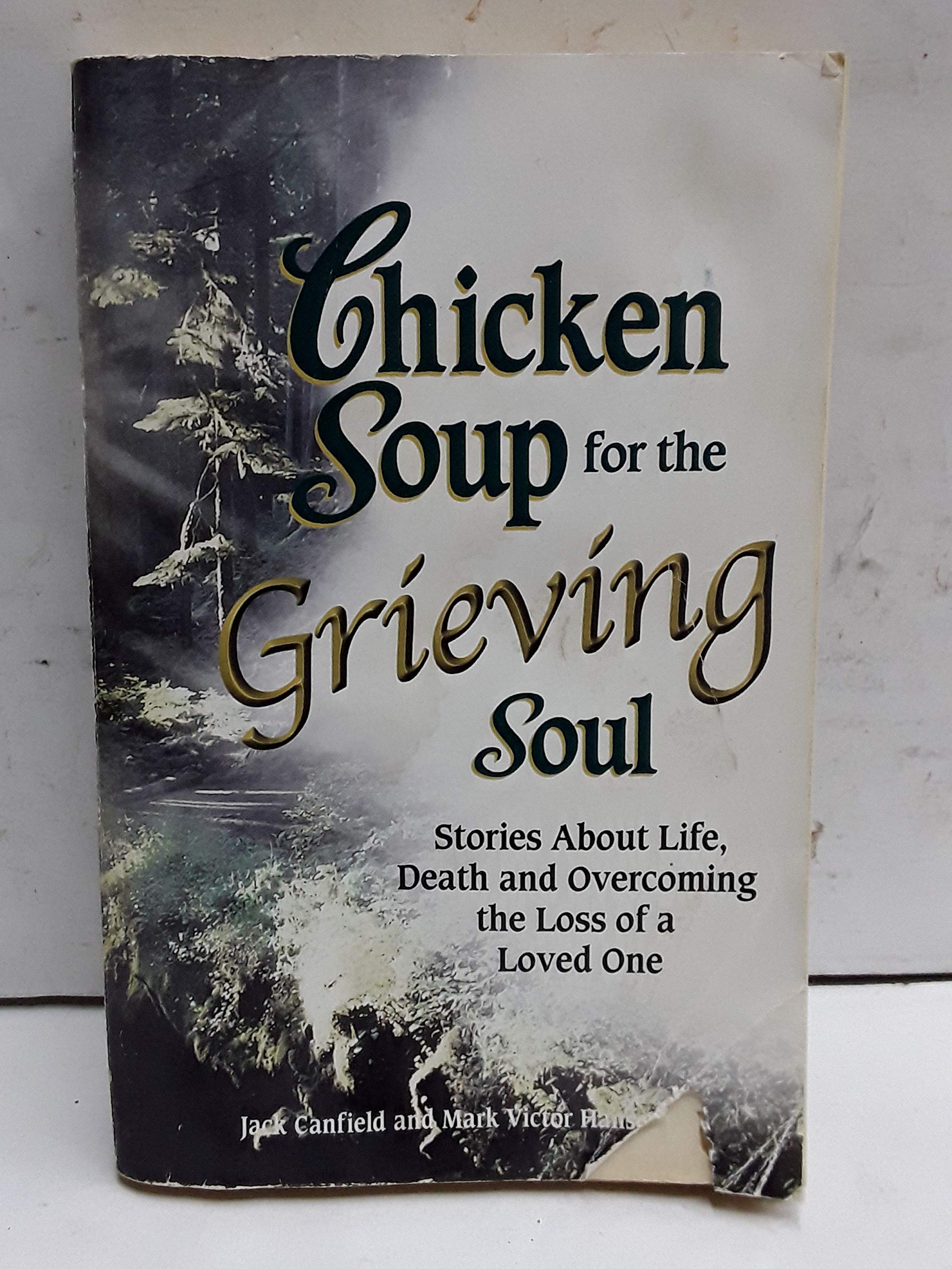 Chicken Soup for the Grieving Soul: Stories About Life, Death and Overcoming the Loss of a Loved One book