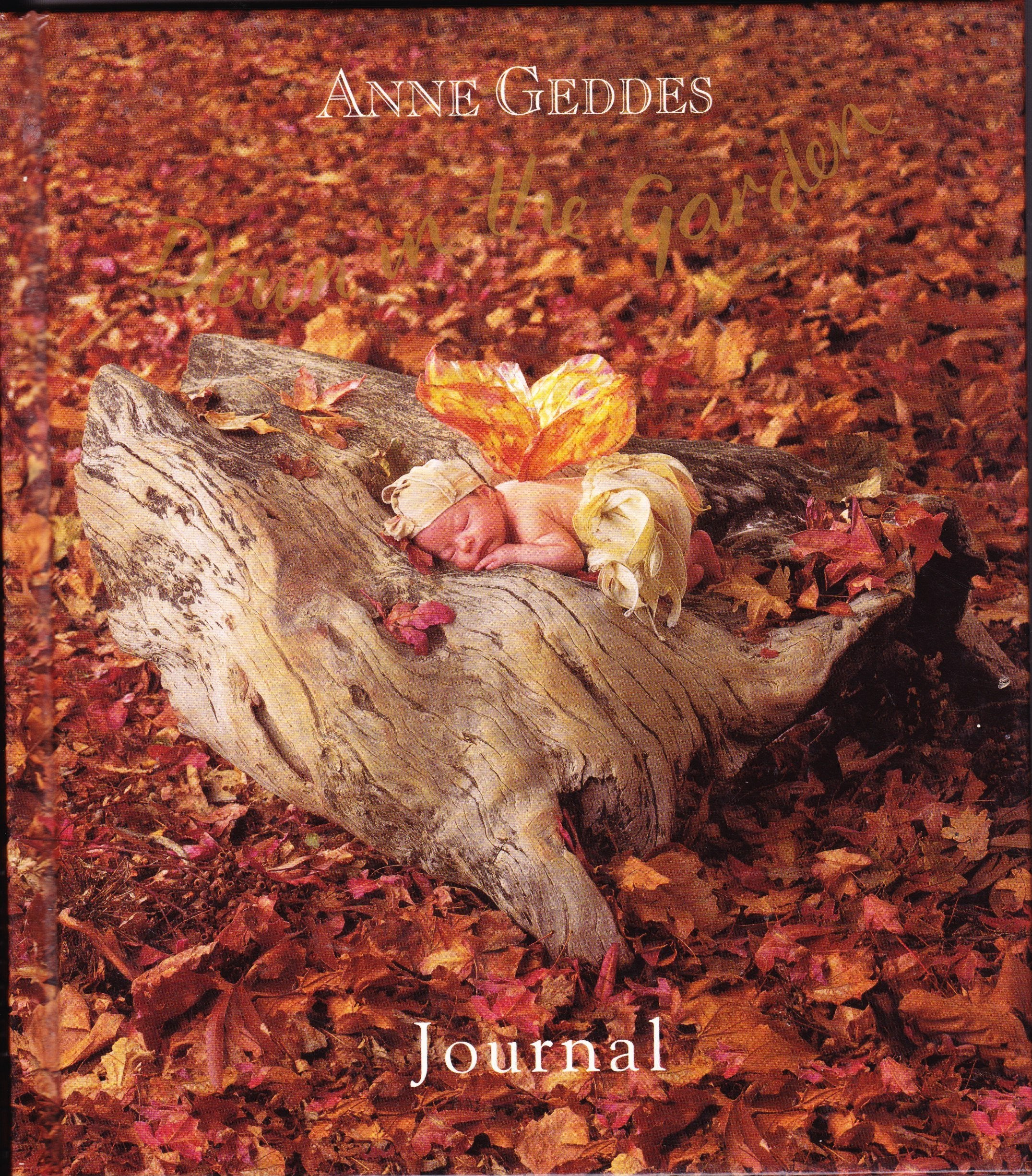 Down in the Garden Journal Woodland Fairy Books