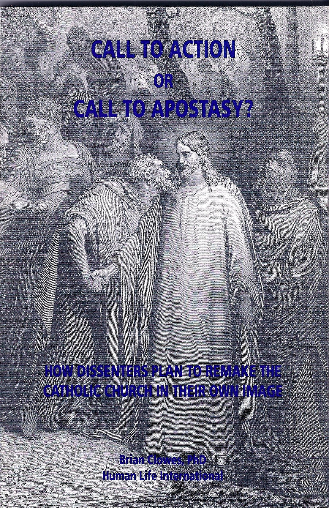 Call to Action or Call to Apostasy?: How Dissenters Plan to Remake the Catholic Church in Their Own Image Books
