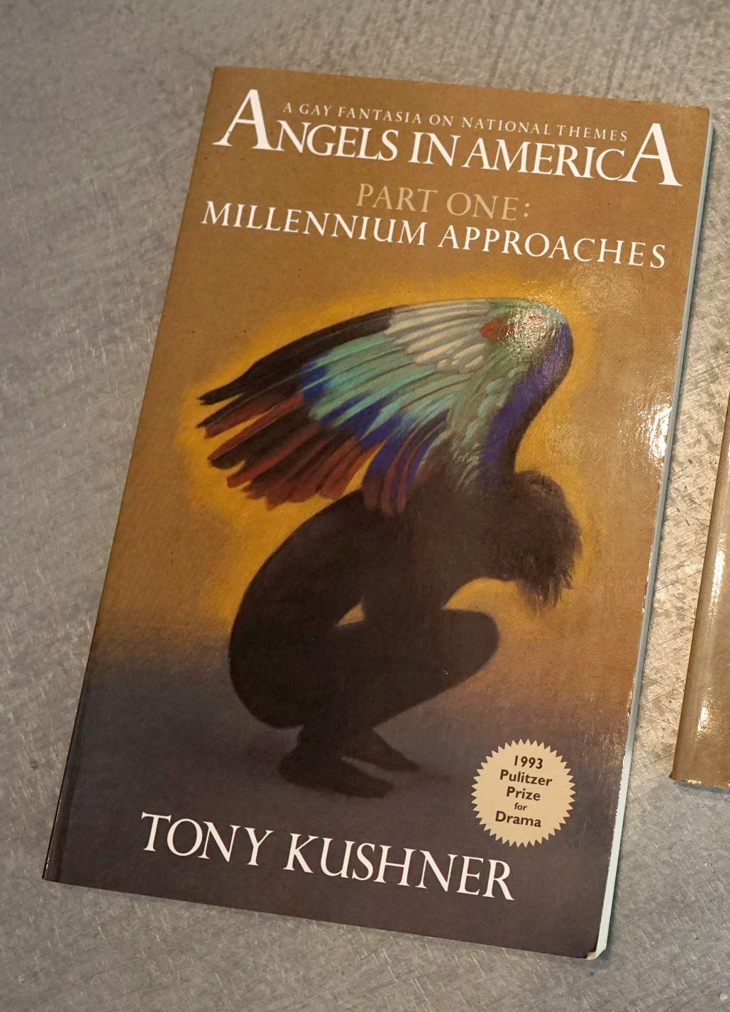 Angels in America: Millennium Approaches Social Sciences