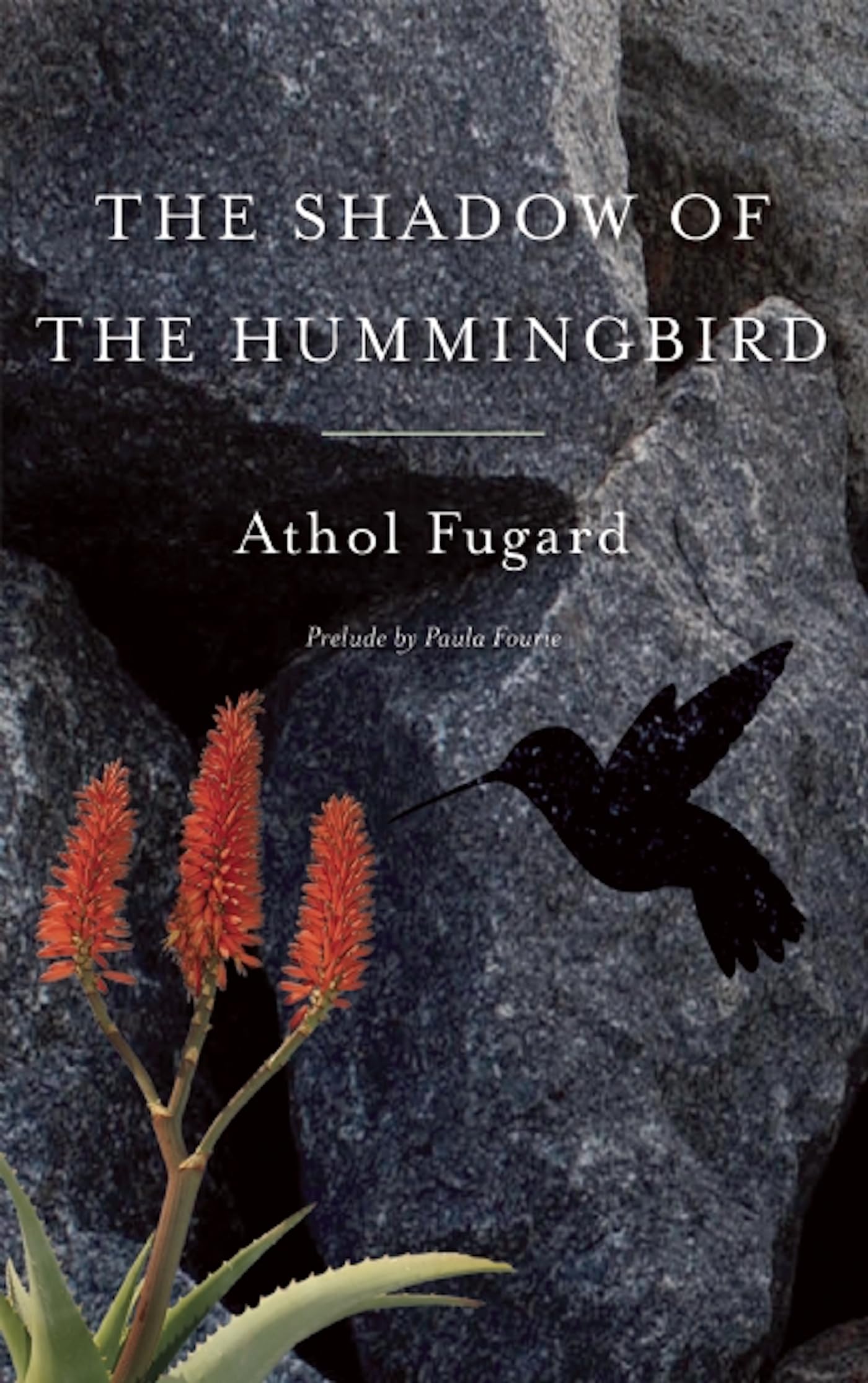 The Shadow of the Hummingbird book