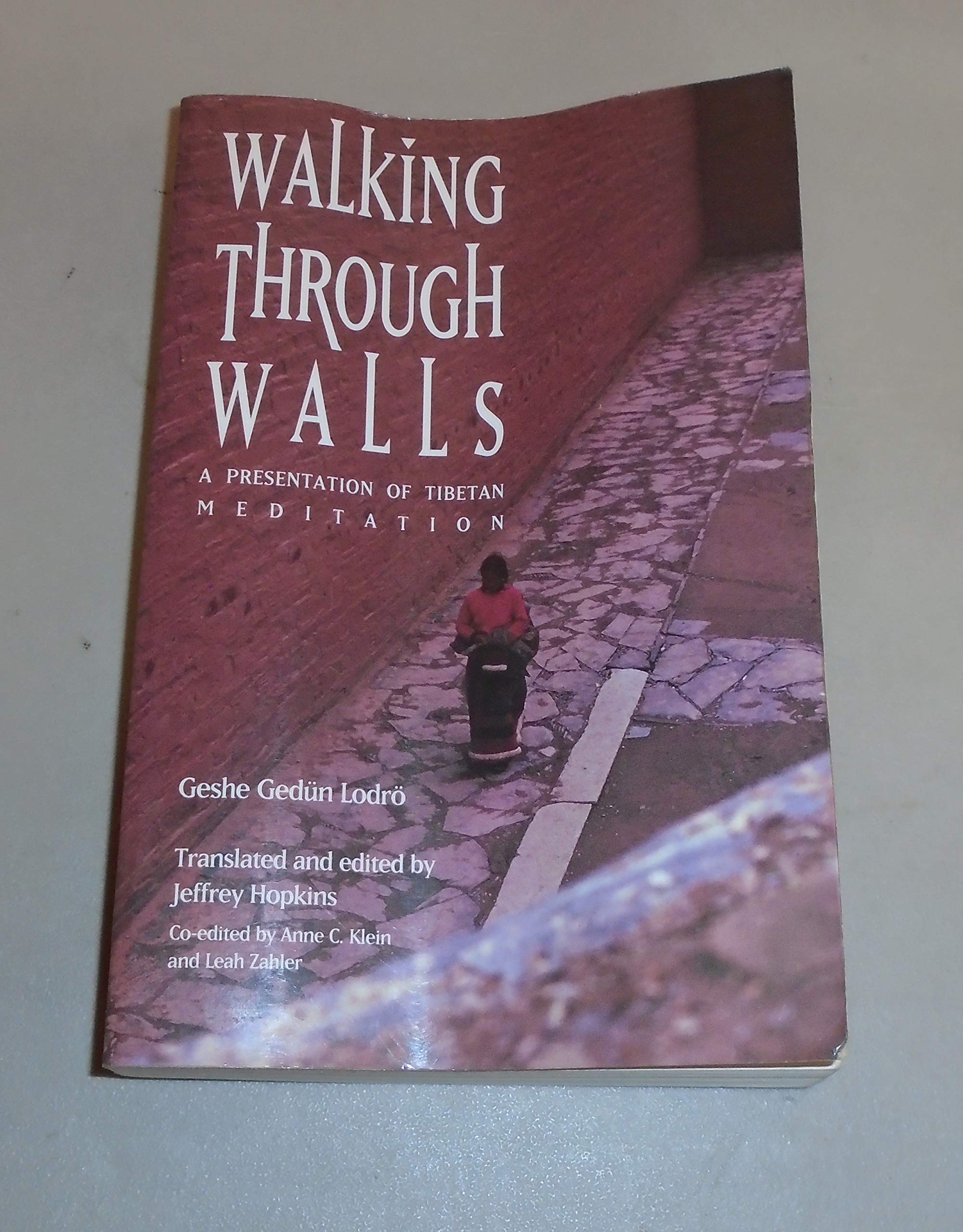Walking Through Walls: A Presentation of Tibetan Meditation Philosophy
