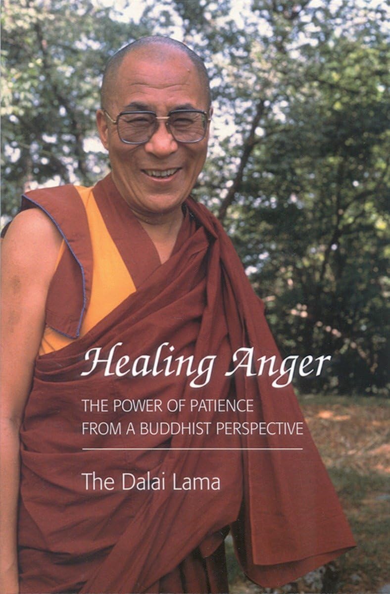 Healing Anger: The Power of Patience from a Buddhist Perspective book