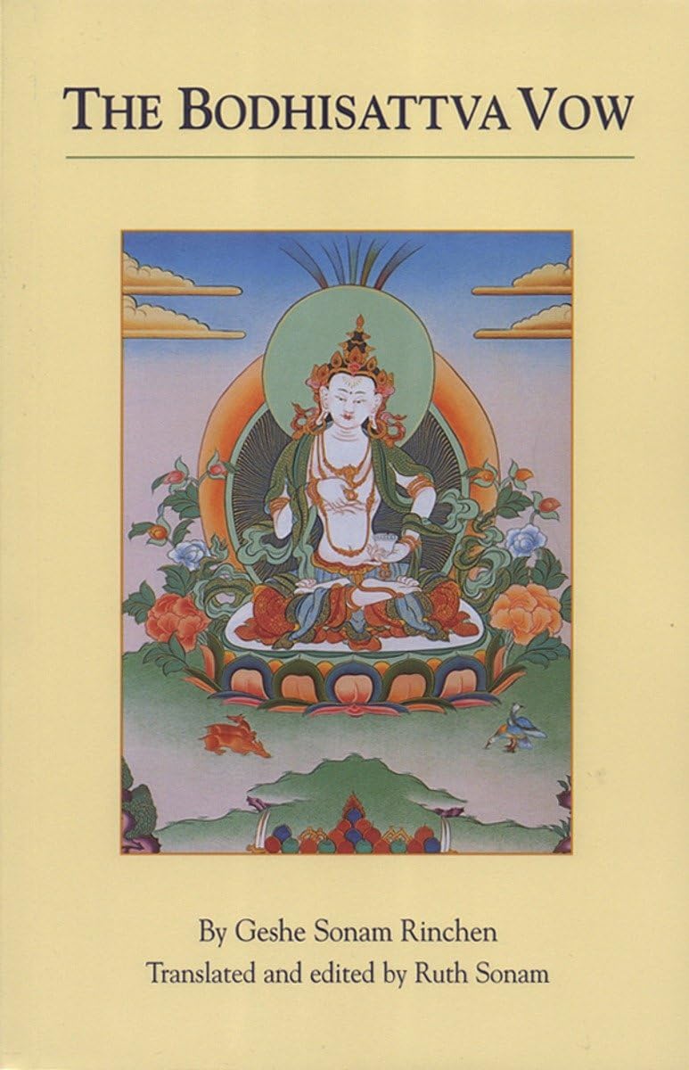 The Bodhisattva Vow book