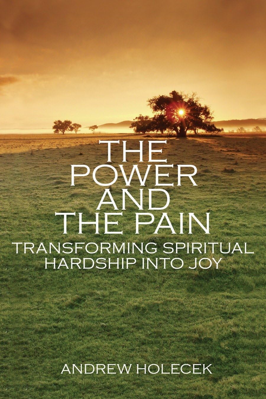 The Power and the Pain: Transforming Spiritual Hardship into Joy Philosophy