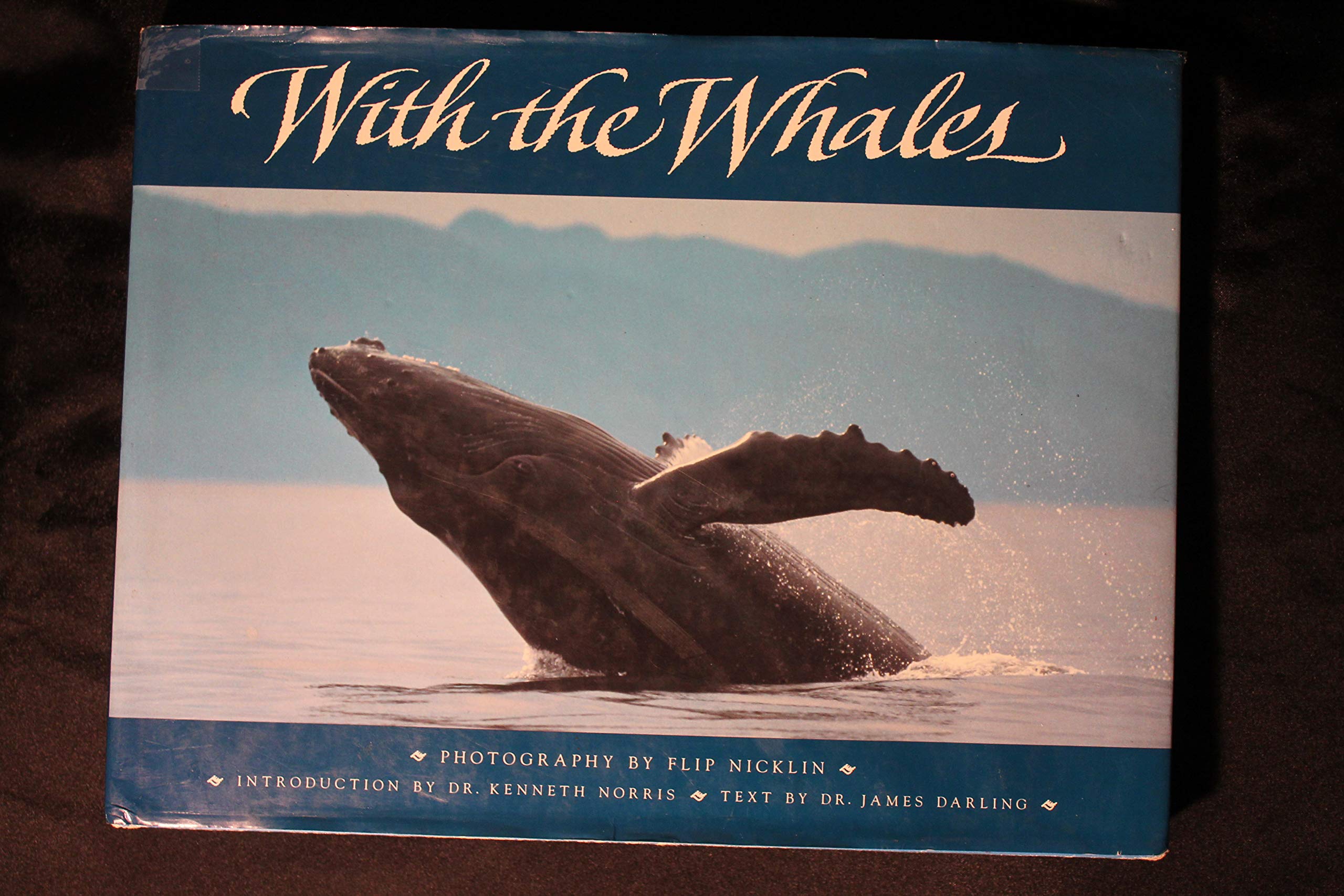 With the Whales Natural Sciences