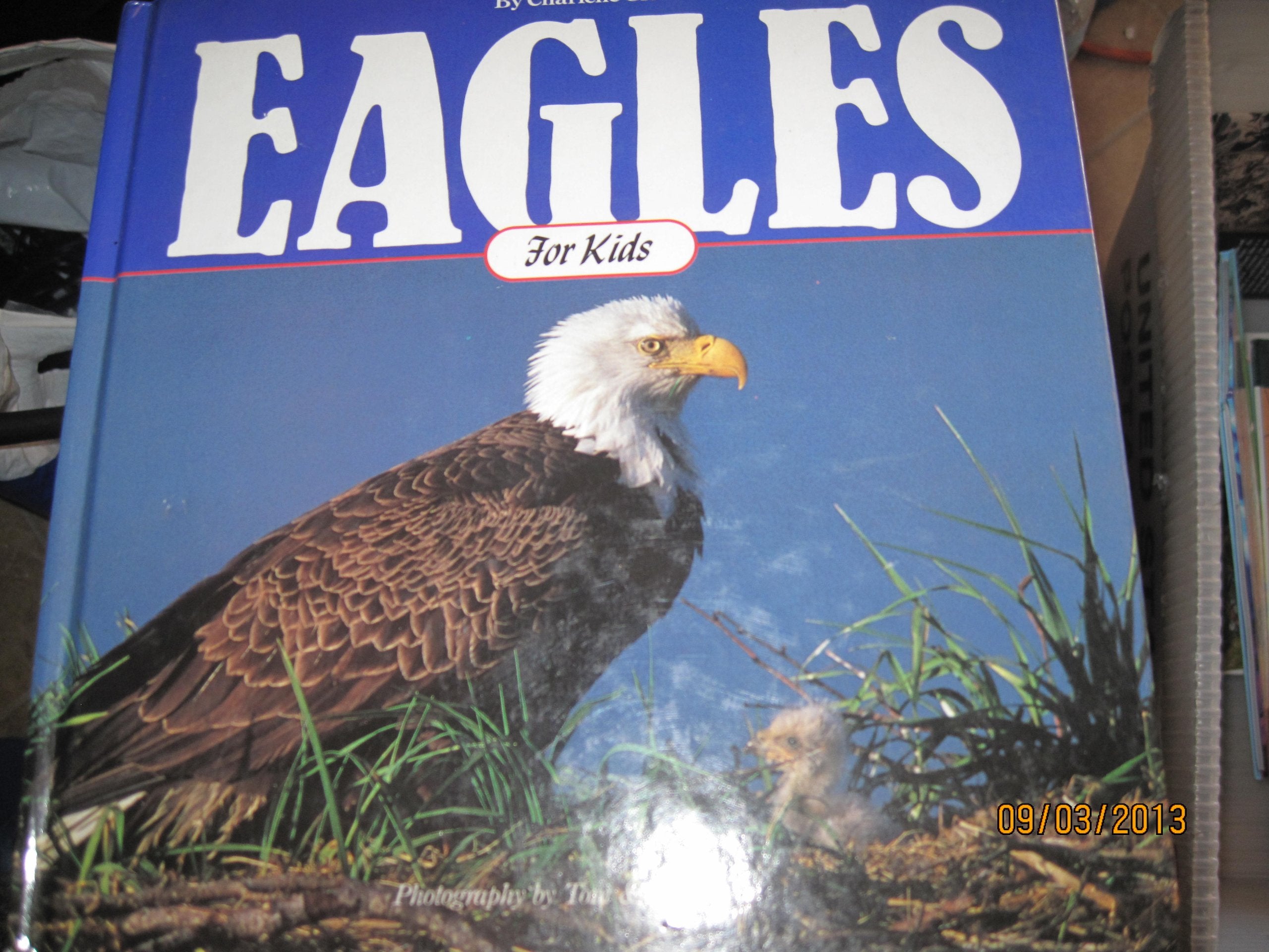 Eagles for Kids (Cocoa Table, Band 6) Mathematics