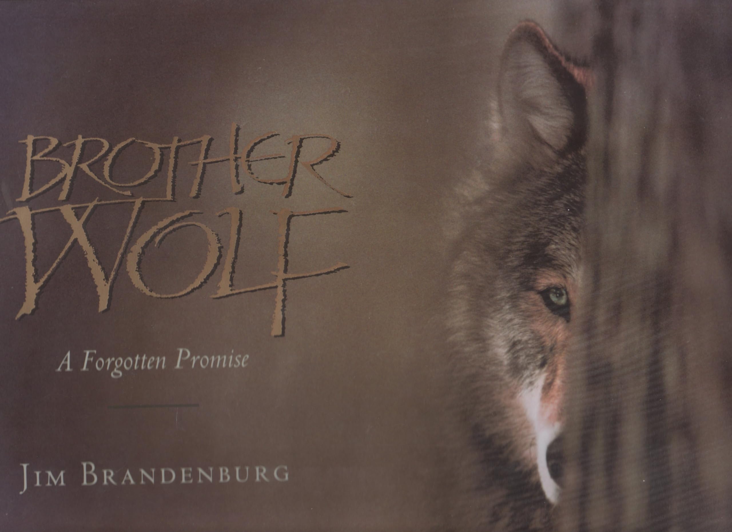 Brother Wolf: A Forgotten Promise Mathematics