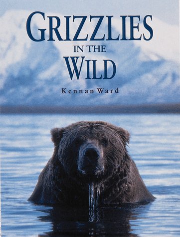 Grizzlies in the Wild Mathematics