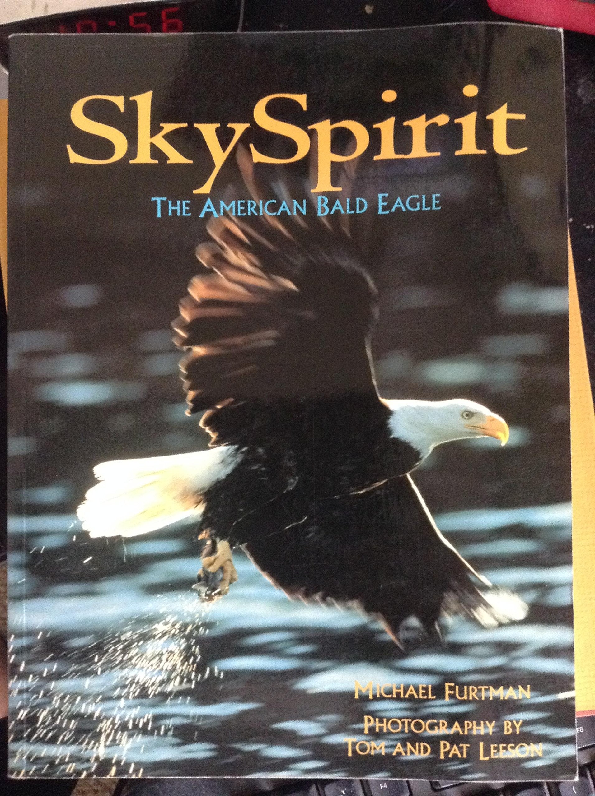 Sky Spirit: The American Bald Eagle Mathematics