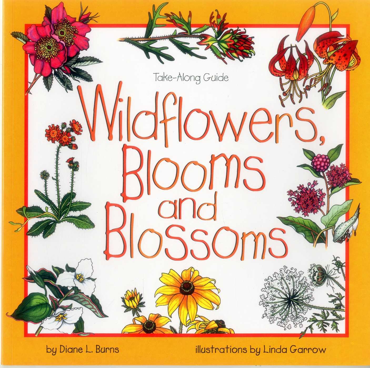 Wildflowers, Blooms & Blossoms (Take Along Guides) Study Guides