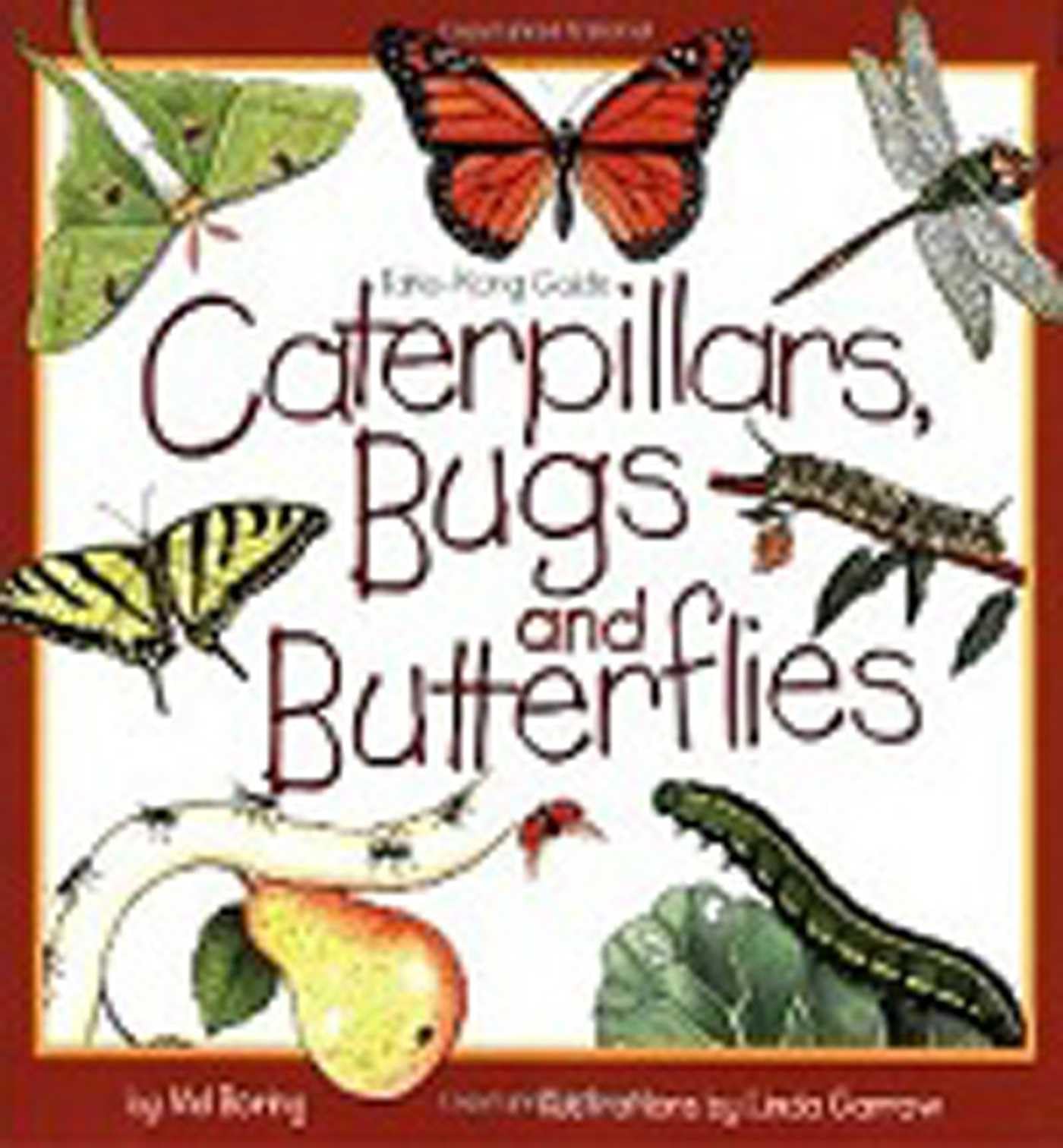Caterpillars, Bugs and Butterflies: Take-Along Guide (Take Along Guides) Tiptoi & Games