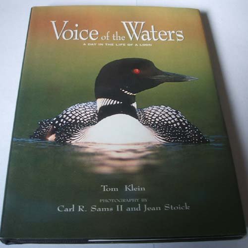 Voice of the Waters: A Day in the Life of a Loon Mathematics