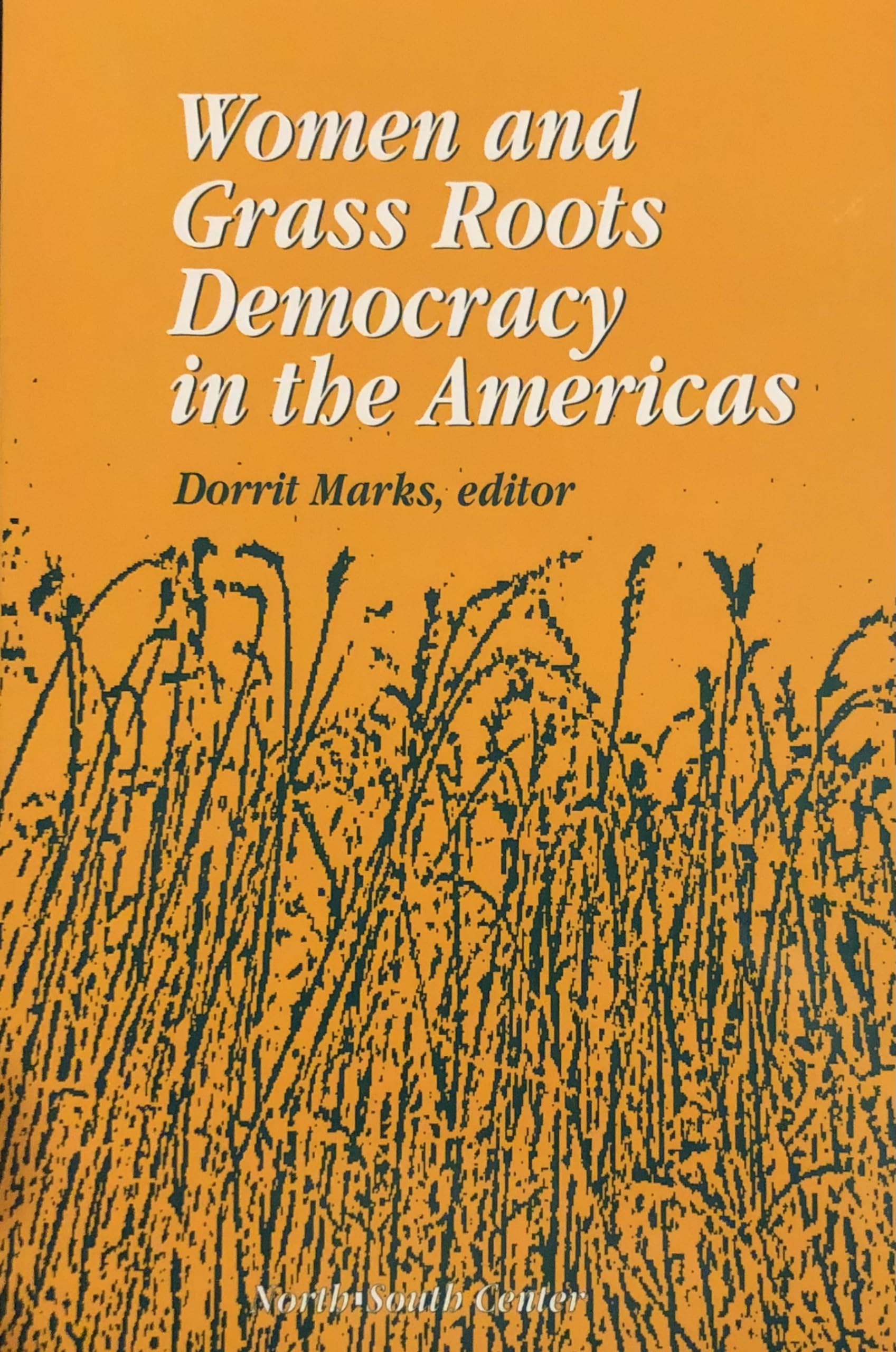 Women and Grass Roots Democracy in the Americas: Sustaining the Intiative (Women's Issues International Relations Political Science Latin American Studies) Books