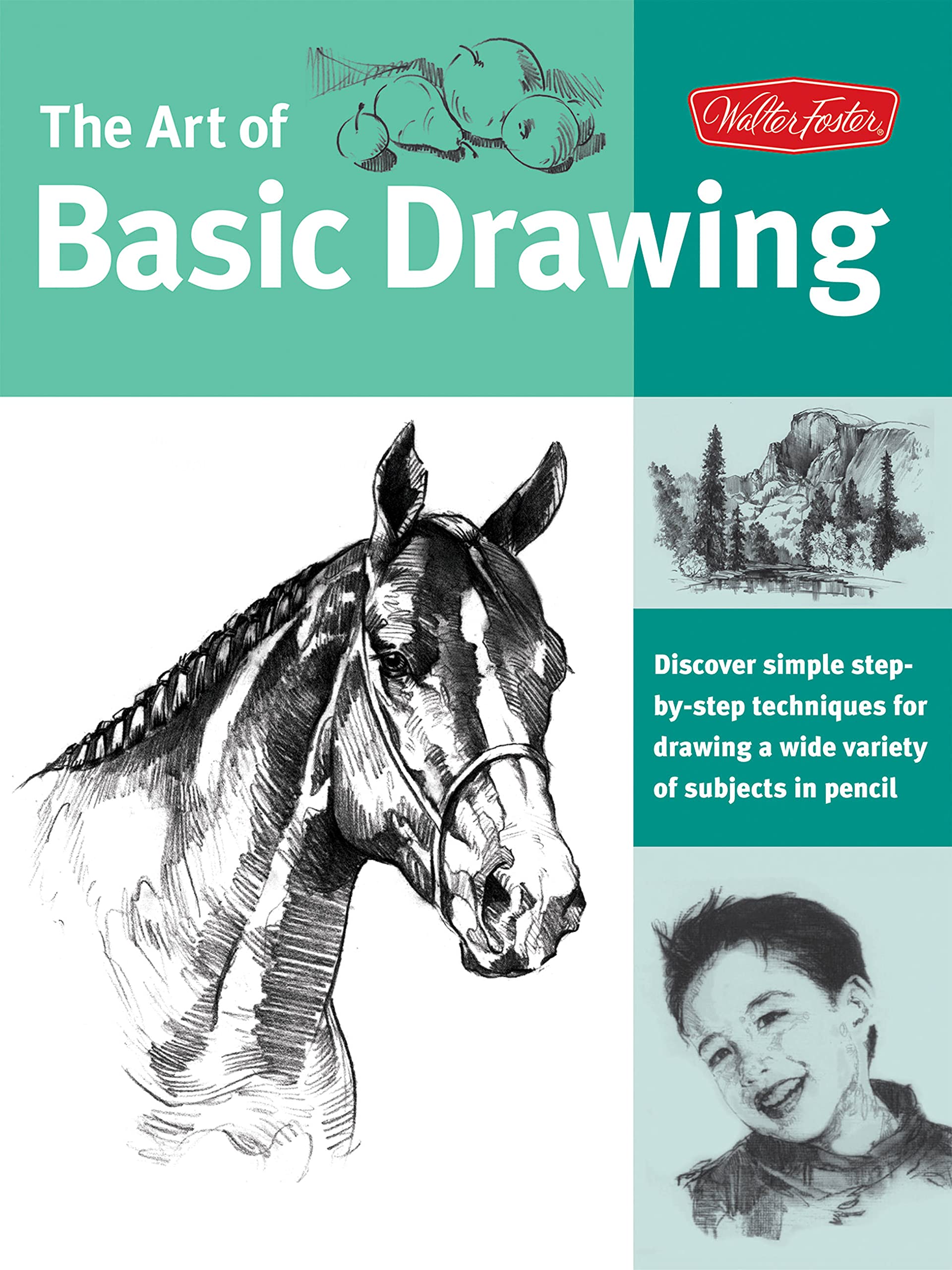 Walter Foster Creative Team: Art of Basic Drawing Social Sciences