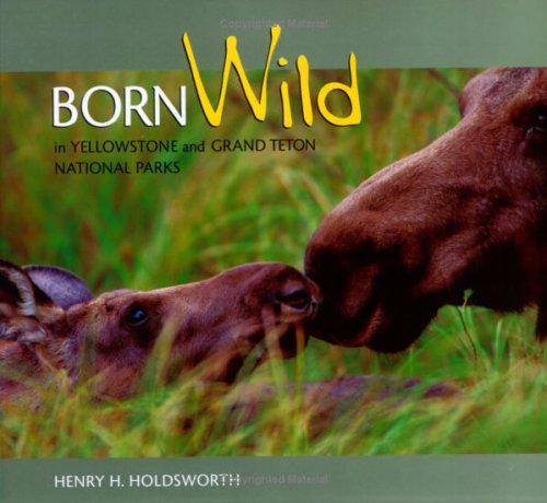 Born Wild in Yellowstone and Grand Teton National Parks Nature & Animals