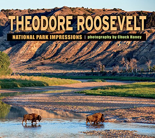 Theodore Roosevelt National Park Impressions Social Sciences