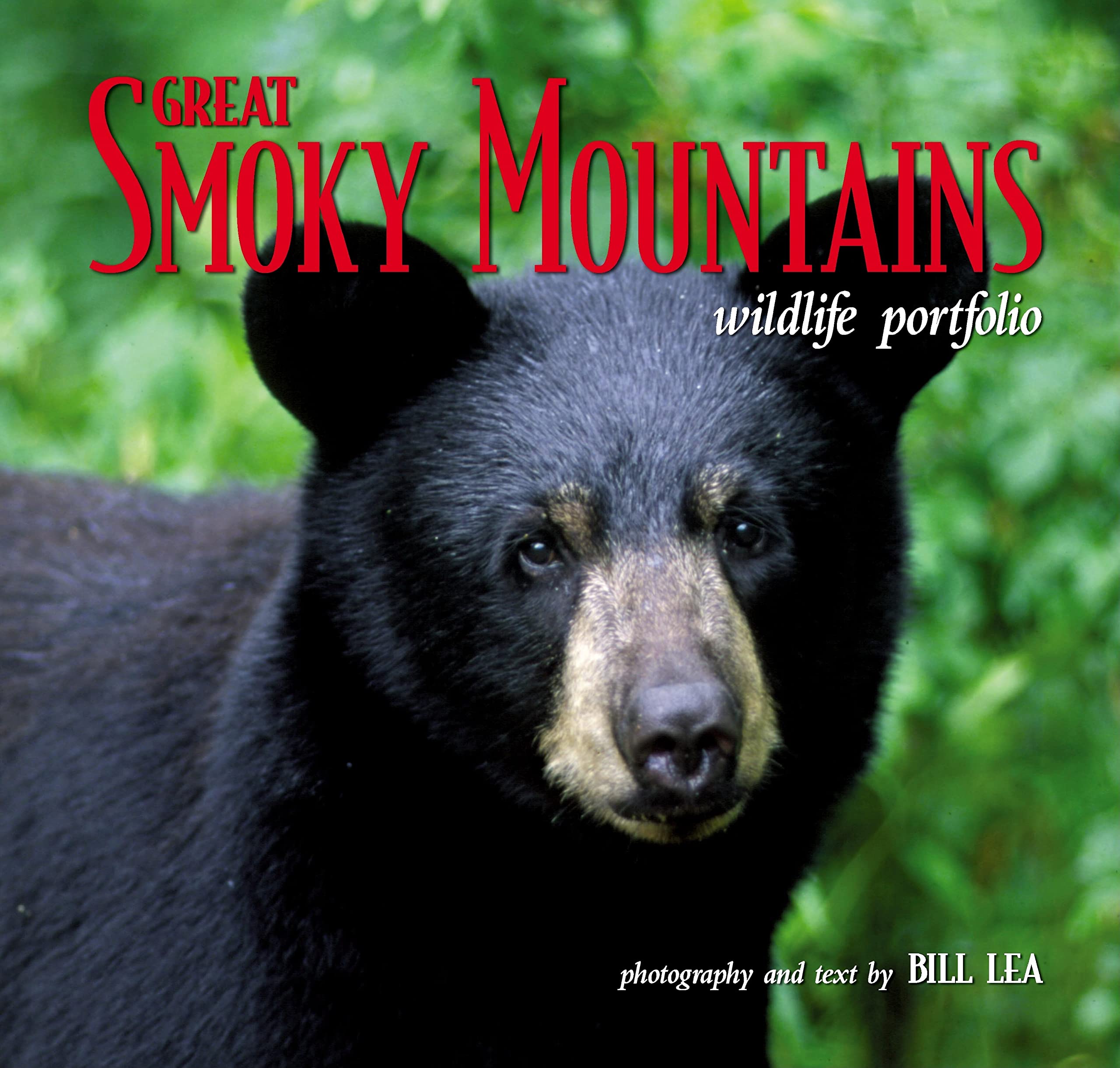 Great Smoky Mountains Wildlife Port. Photography
