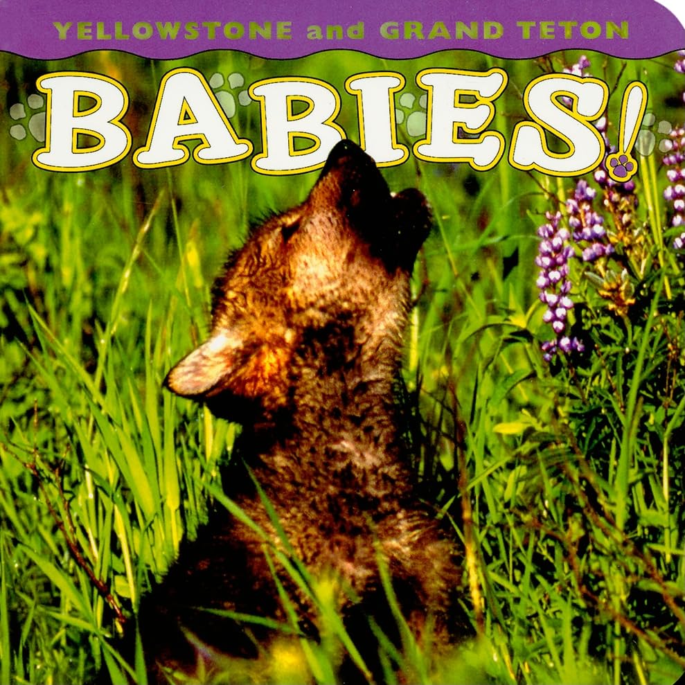 Yellowstone and Grand Teton Babies! (Babies! Animal) Novels & Short Stories