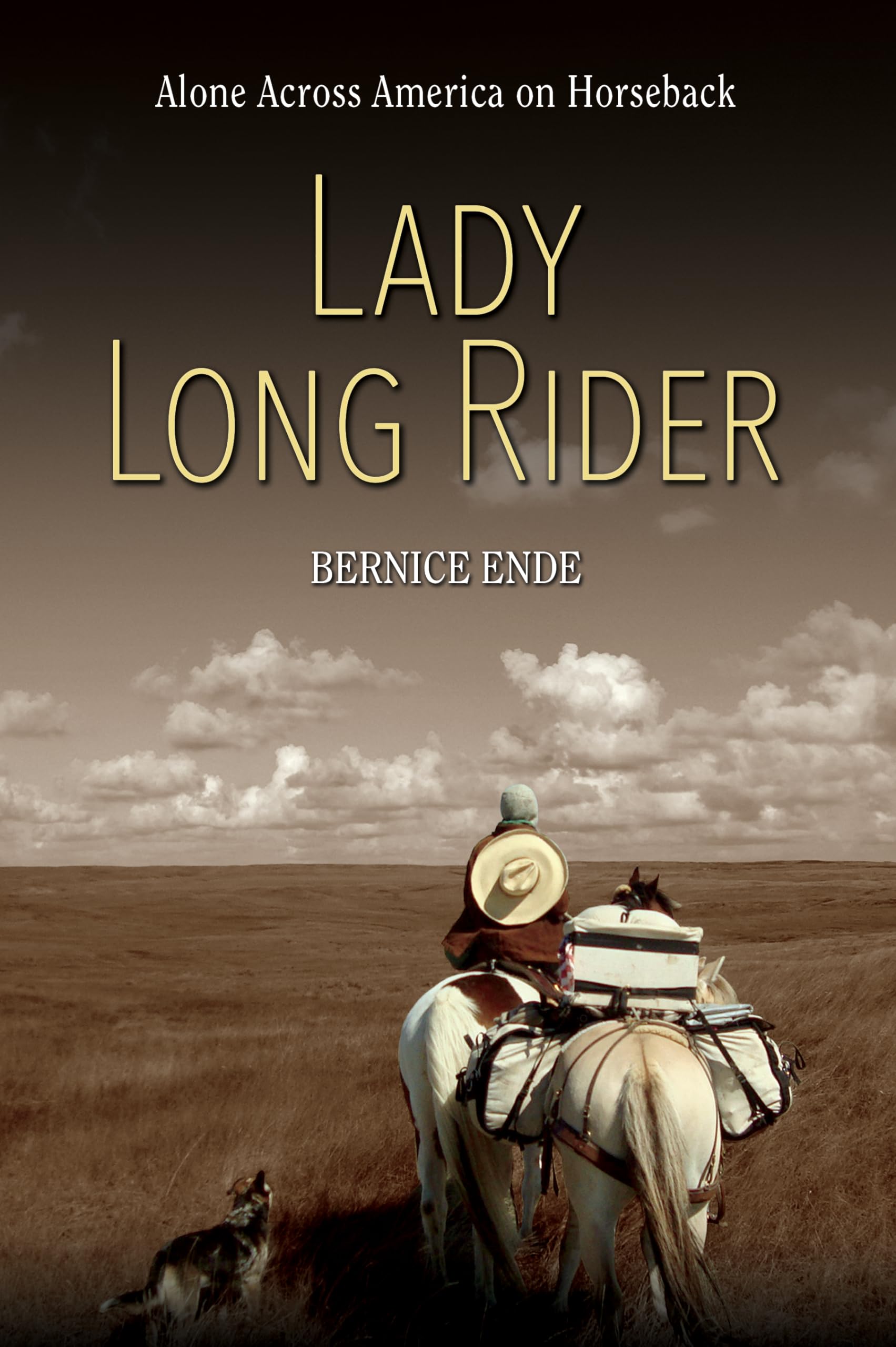 Lady Long Rider: Alone Across America on Horseback book
