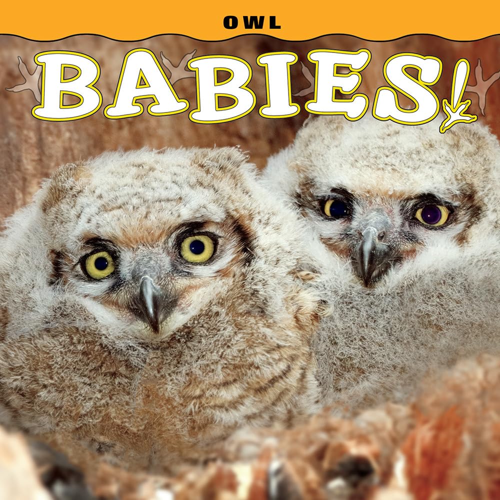 Product Image: Owl Babies! (Babies! (Farcountry Press))