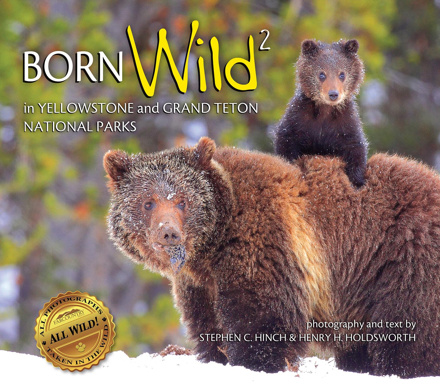 Born Wild 2: In Yellowstone and Grand Teton National Parks Social Sciences