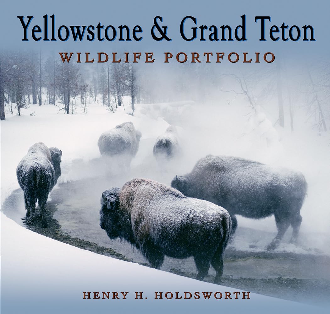 Yellowstone & Grand Teton Wildlife Portfolio (Sc) Mathematics