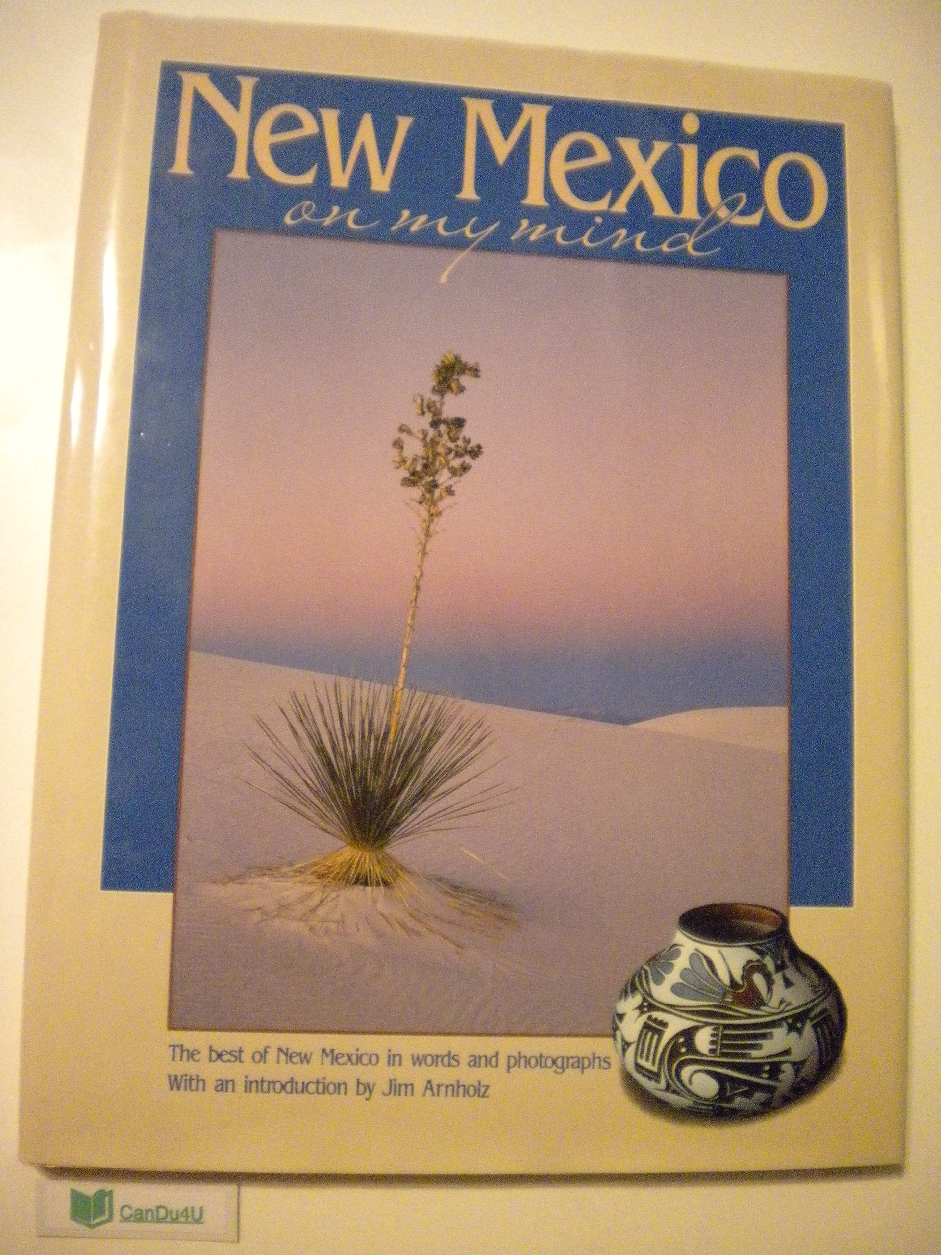New Mexico on My Mind (America on My Mind Series) Travel