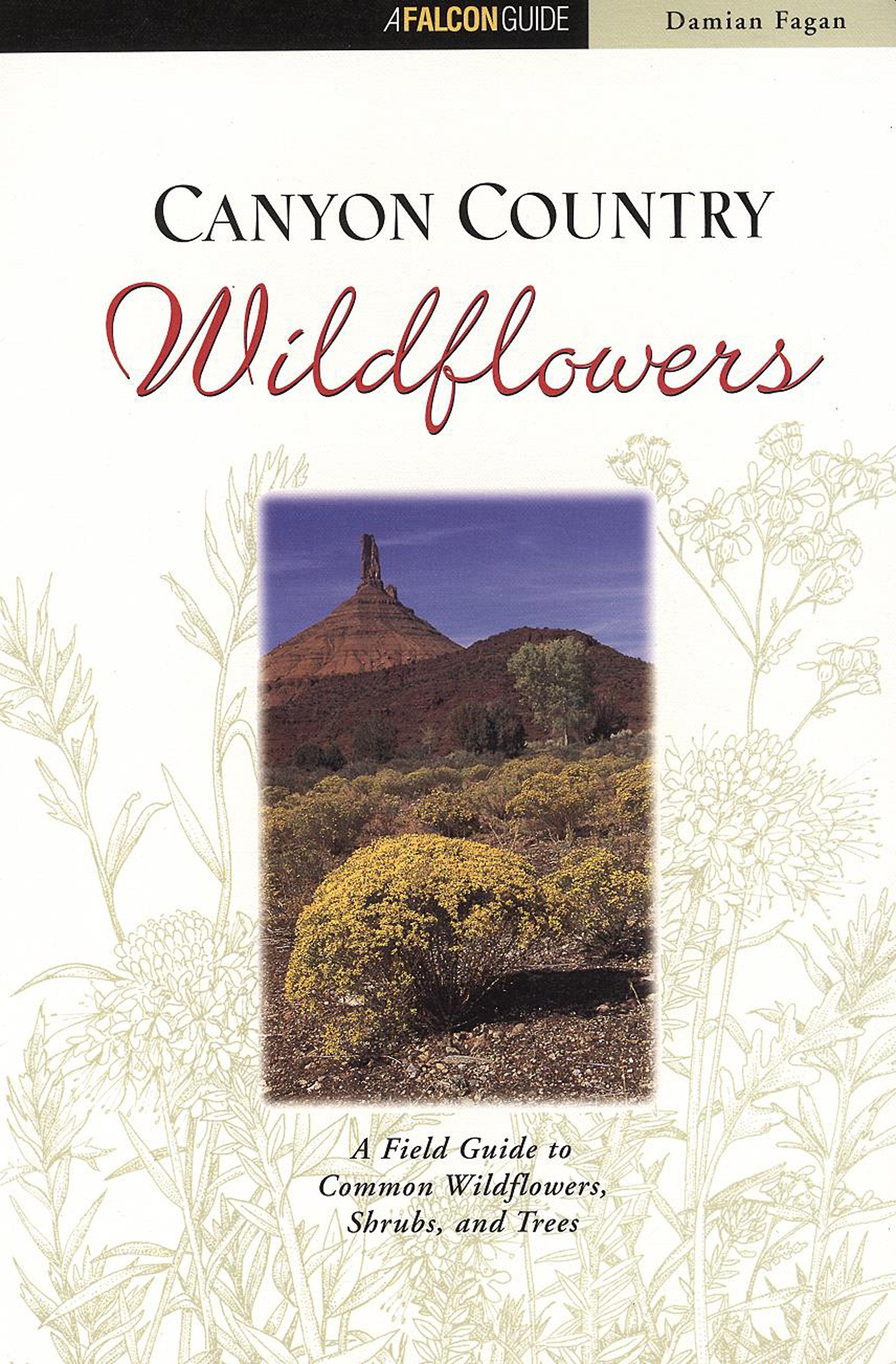 Canyon Country Wildflowers: A Field Guide to Common Wildflowers, Shrubs, and Trees: Including Arches and Canyonlands National Parks (A Falcon Guide) Mathematics