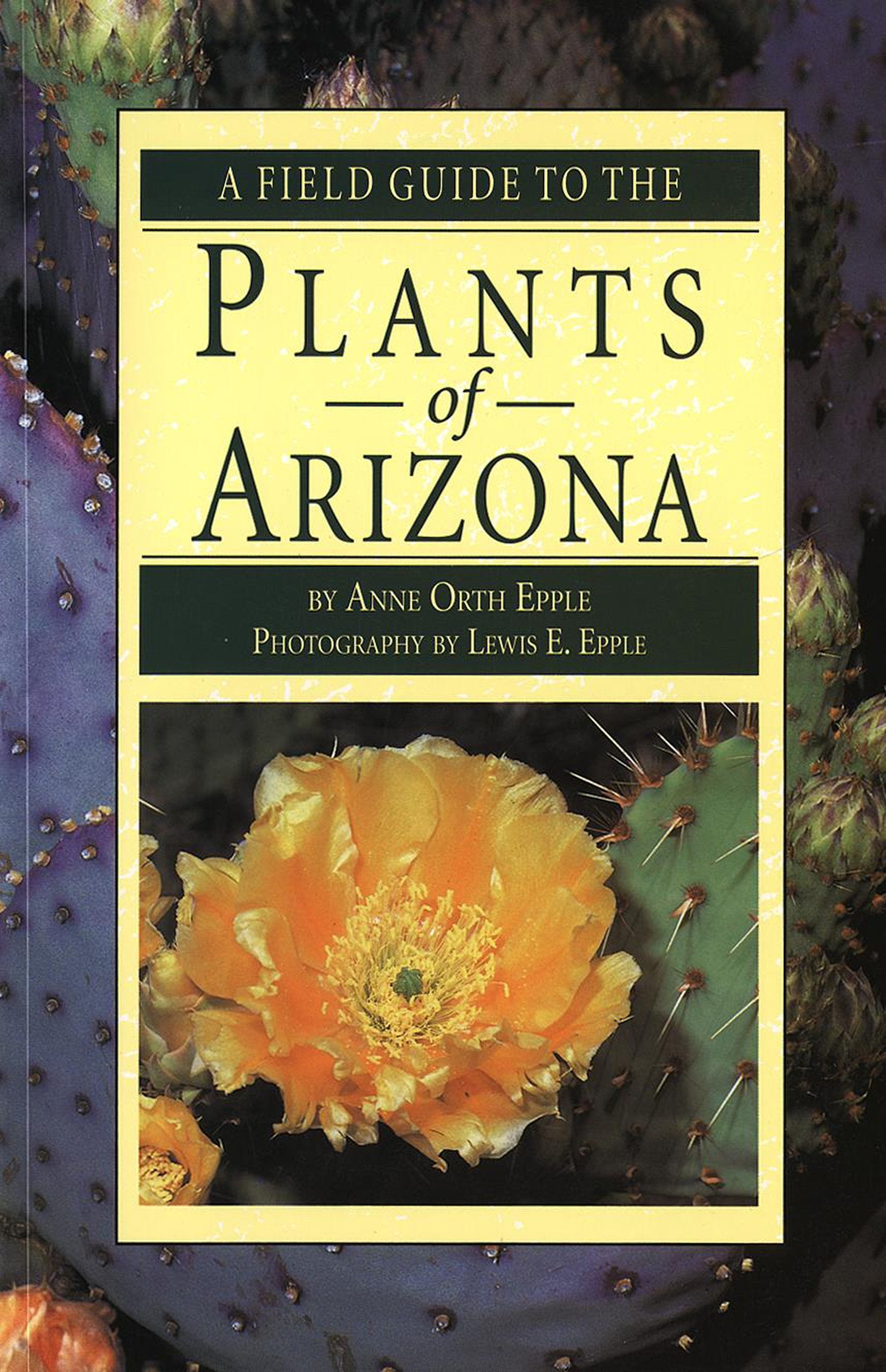 A Field Guide to the Plants of Arizona book
