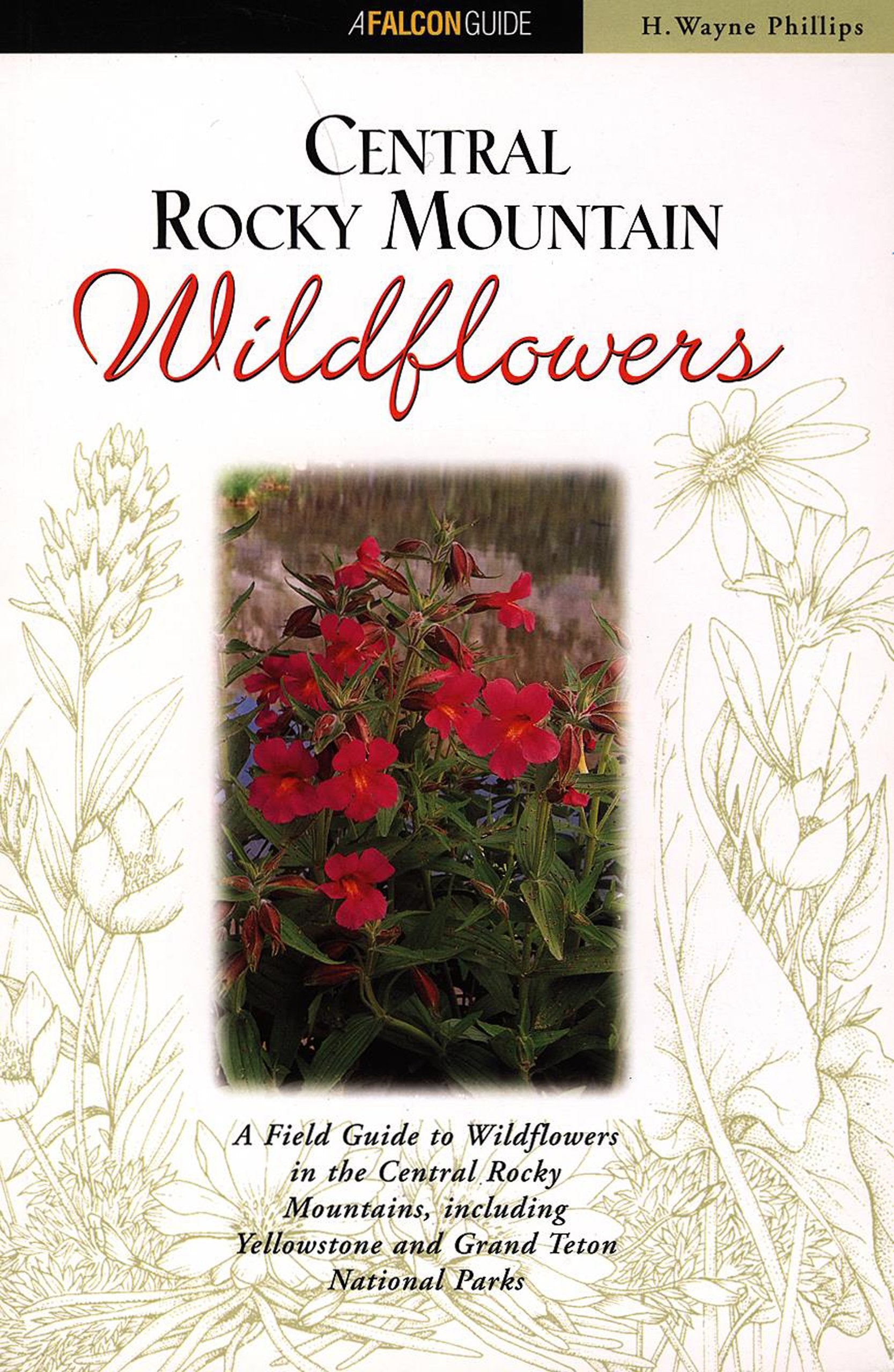 Central Rocky Mountain Wildflowers: Including Yellowstone and Grand Teton National Parks (Field Guides Series) Mathematics