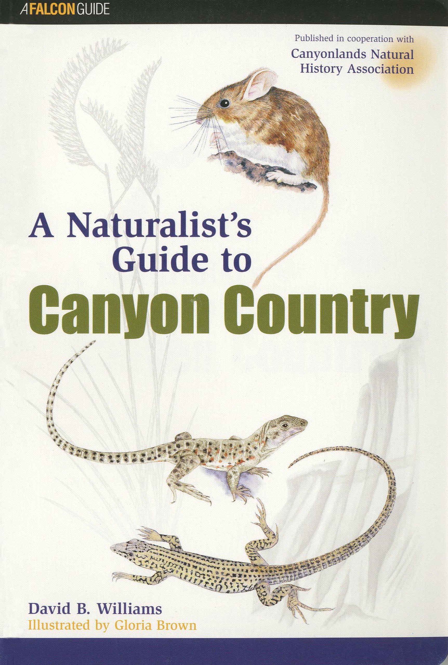 A Naturalist's Guide to Canyon Country Mathematics