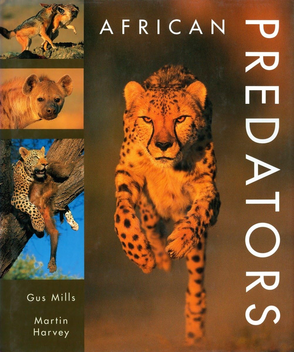 African Predators Mathematics