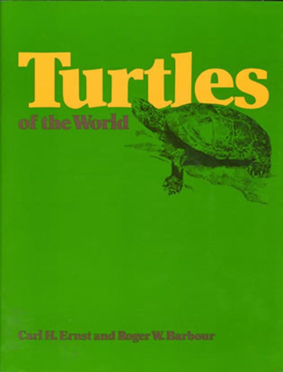 Turtles of the World Mathematics