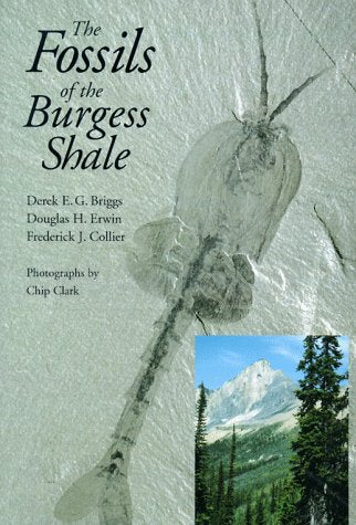 The Fossils of the Burgess Shale Business & Technology