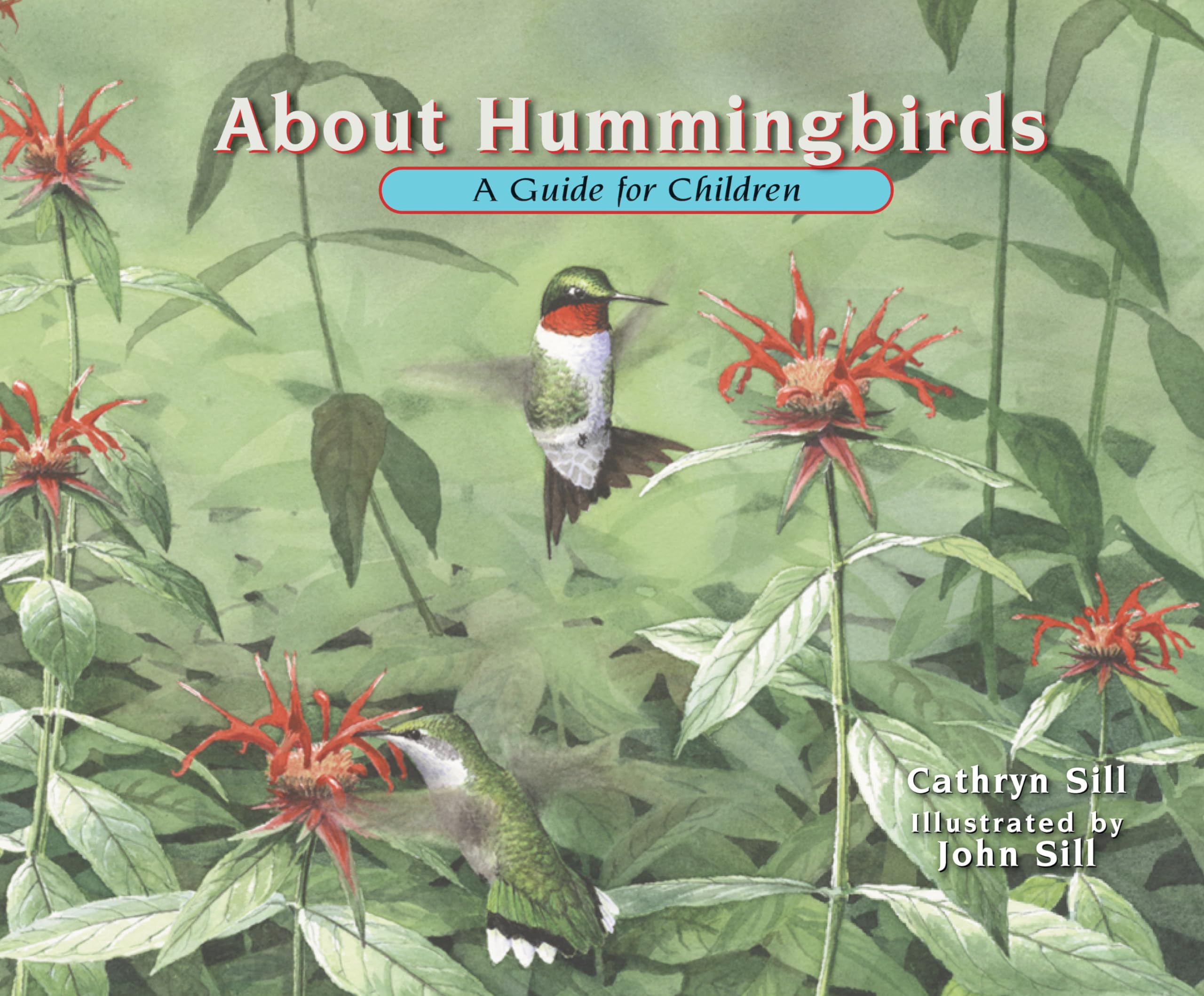 About Hummingbirds Non-fiction books for kids