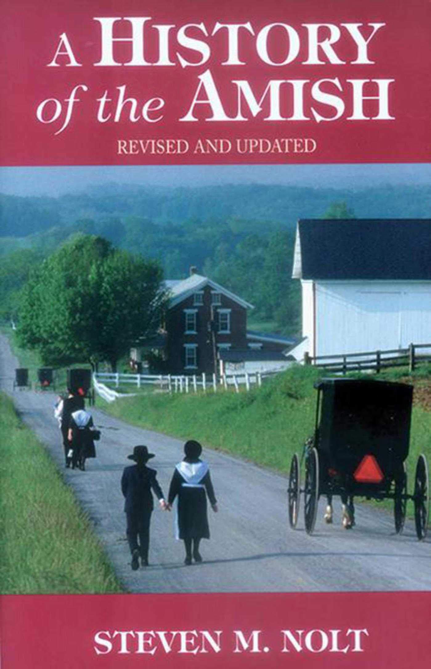 History of the Amish: Revised And Updated Religion & Esotericism