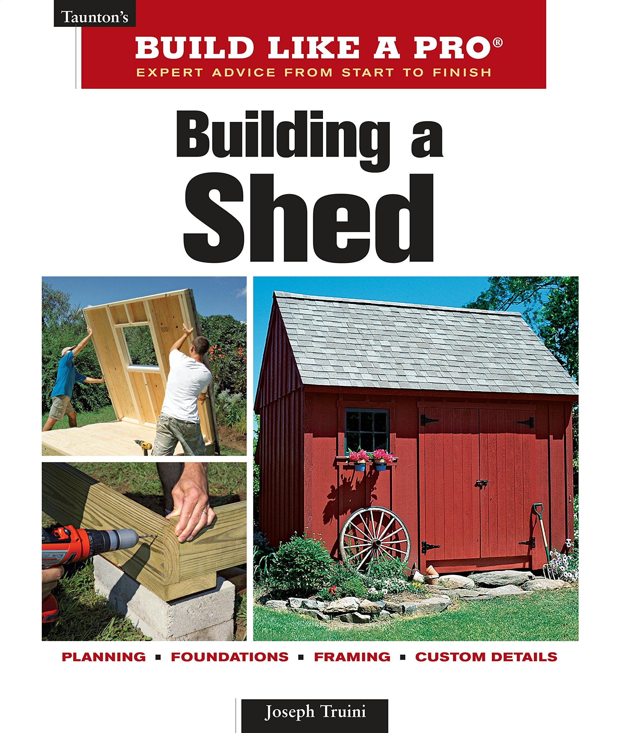 Taunton's Build Like a Pro, Building a Shed: Expert Advice from Start to Finish Hobbies & Crafts