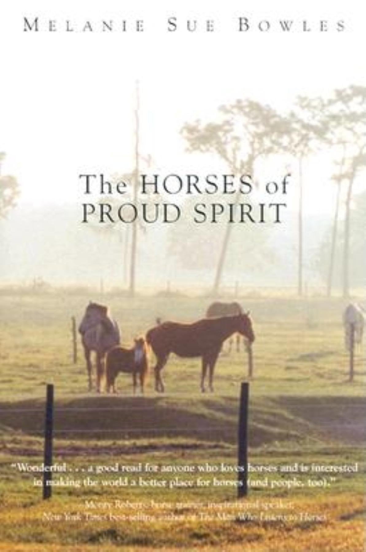 The Horses of Proud Spirit Mathematics
