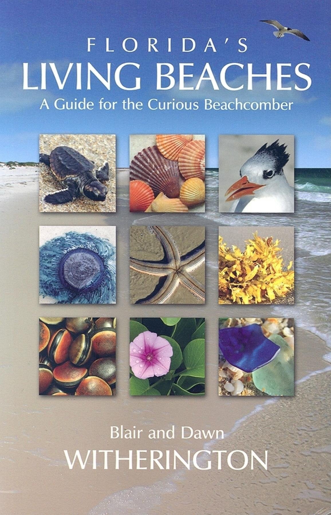 Florida's Living Beaches: A Guide for the Curious Beachcomber Geology & Geography