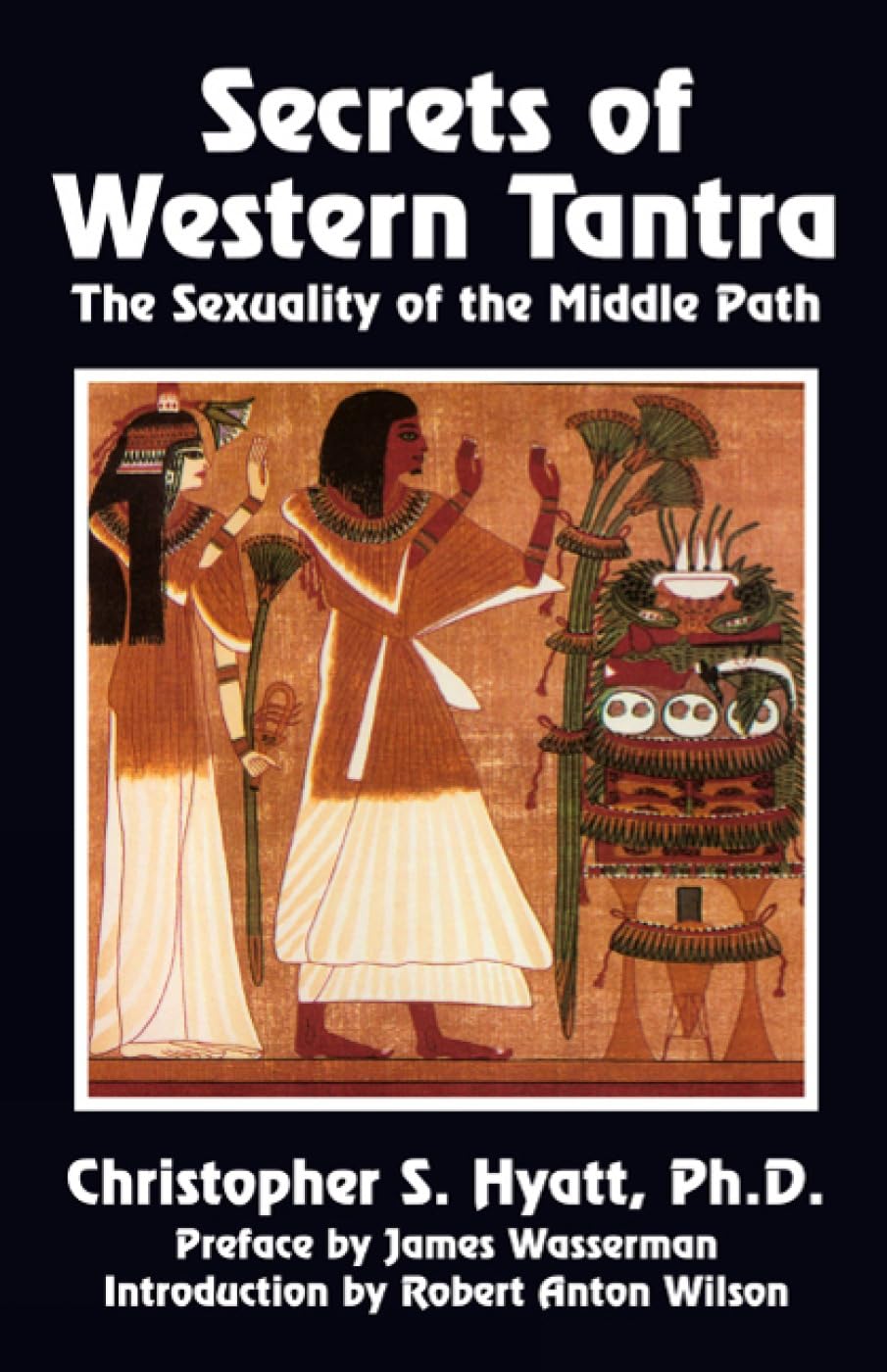 Secrets of Western Tantra: The Sexuality of the Middle Path Social Sciences