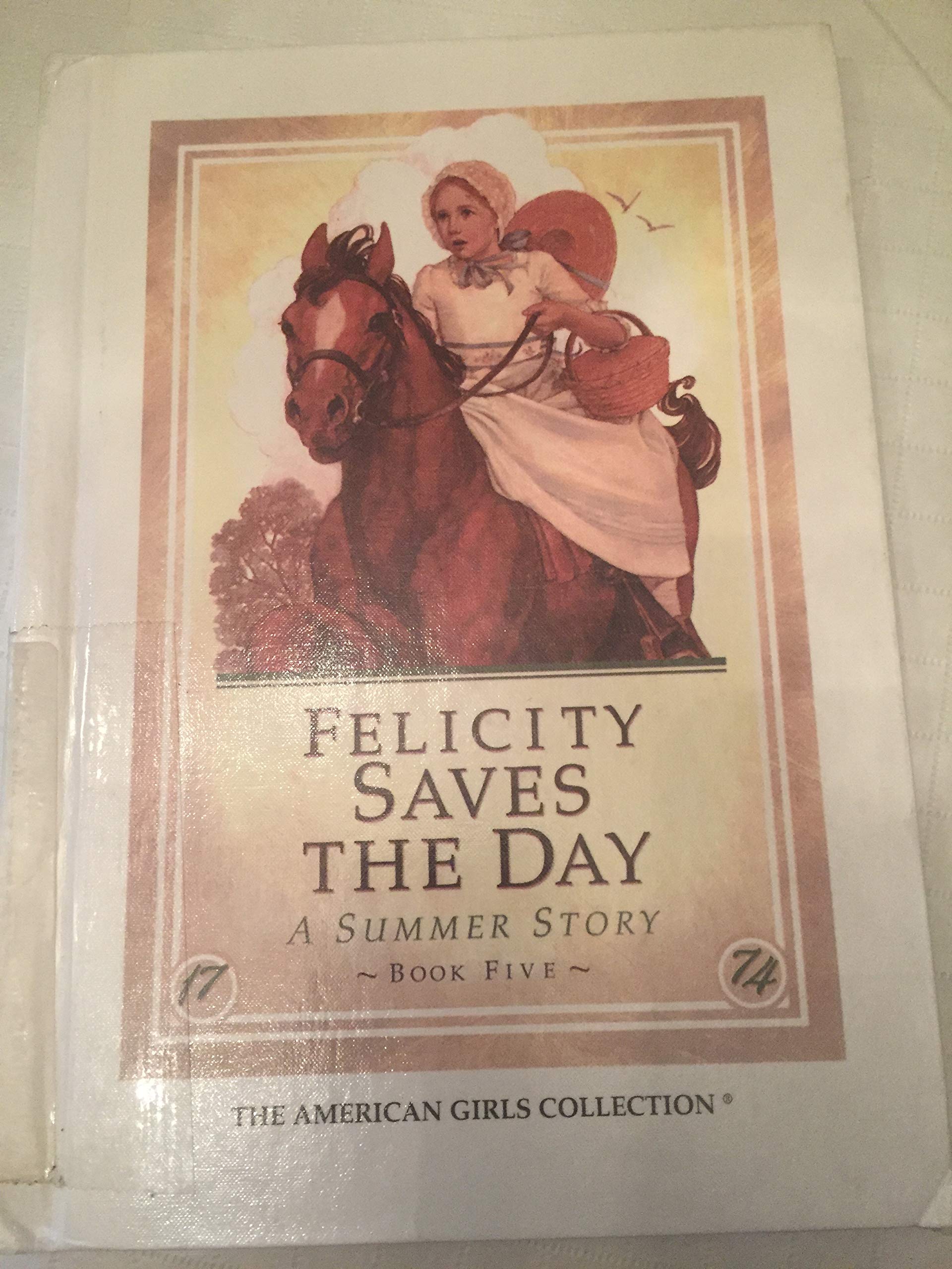 Felicity Saves the Day: A Summer Story book