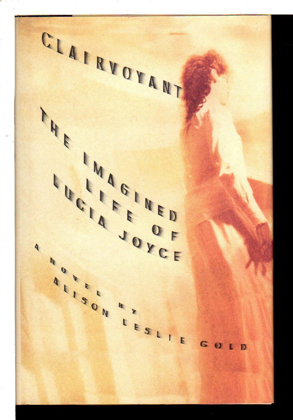 Clairvoyant: The Imagined Life of Lucia Joyce book