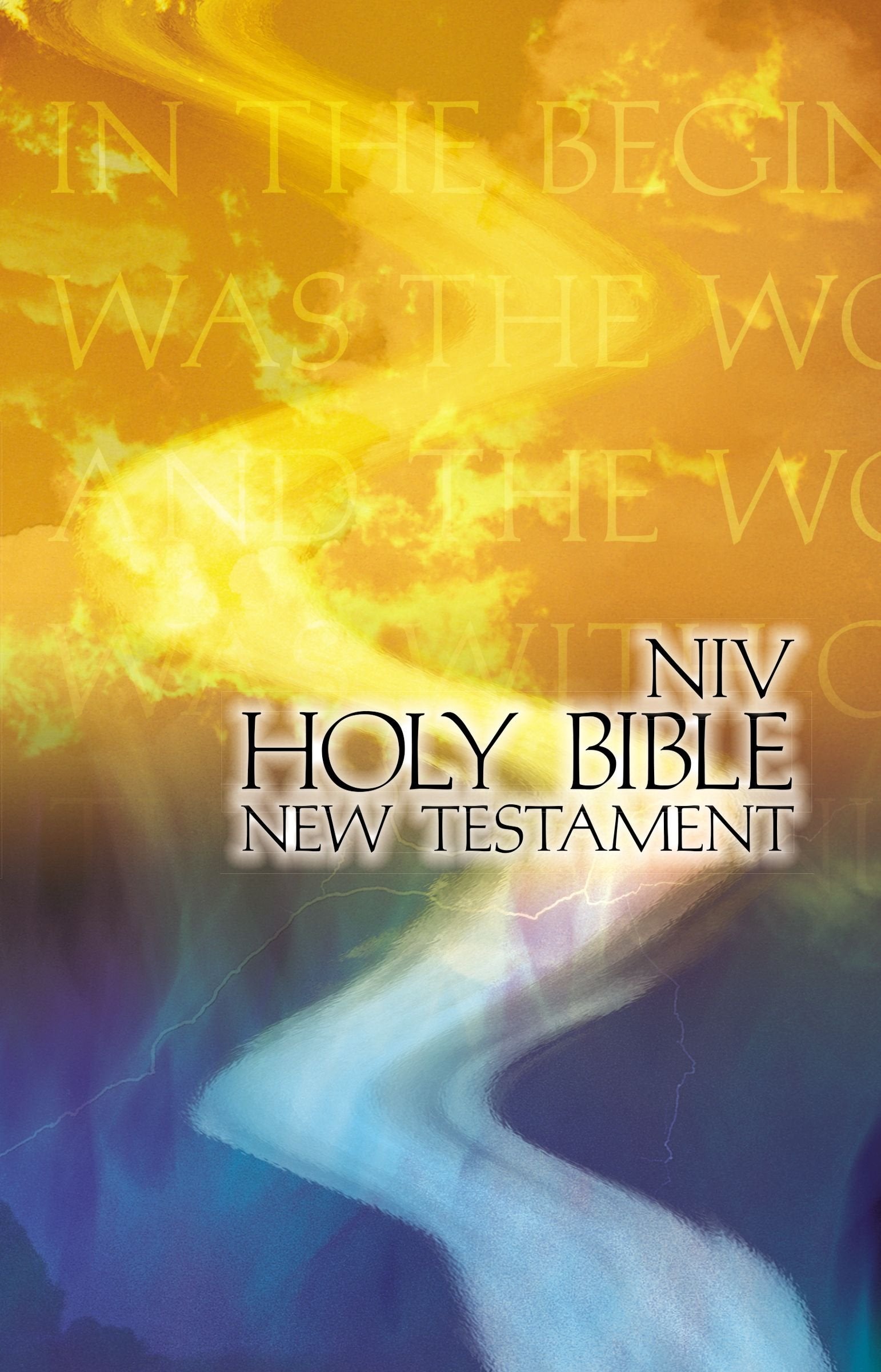 New Testament: New International Version, Outreach, God's Word Religion & Esotericism