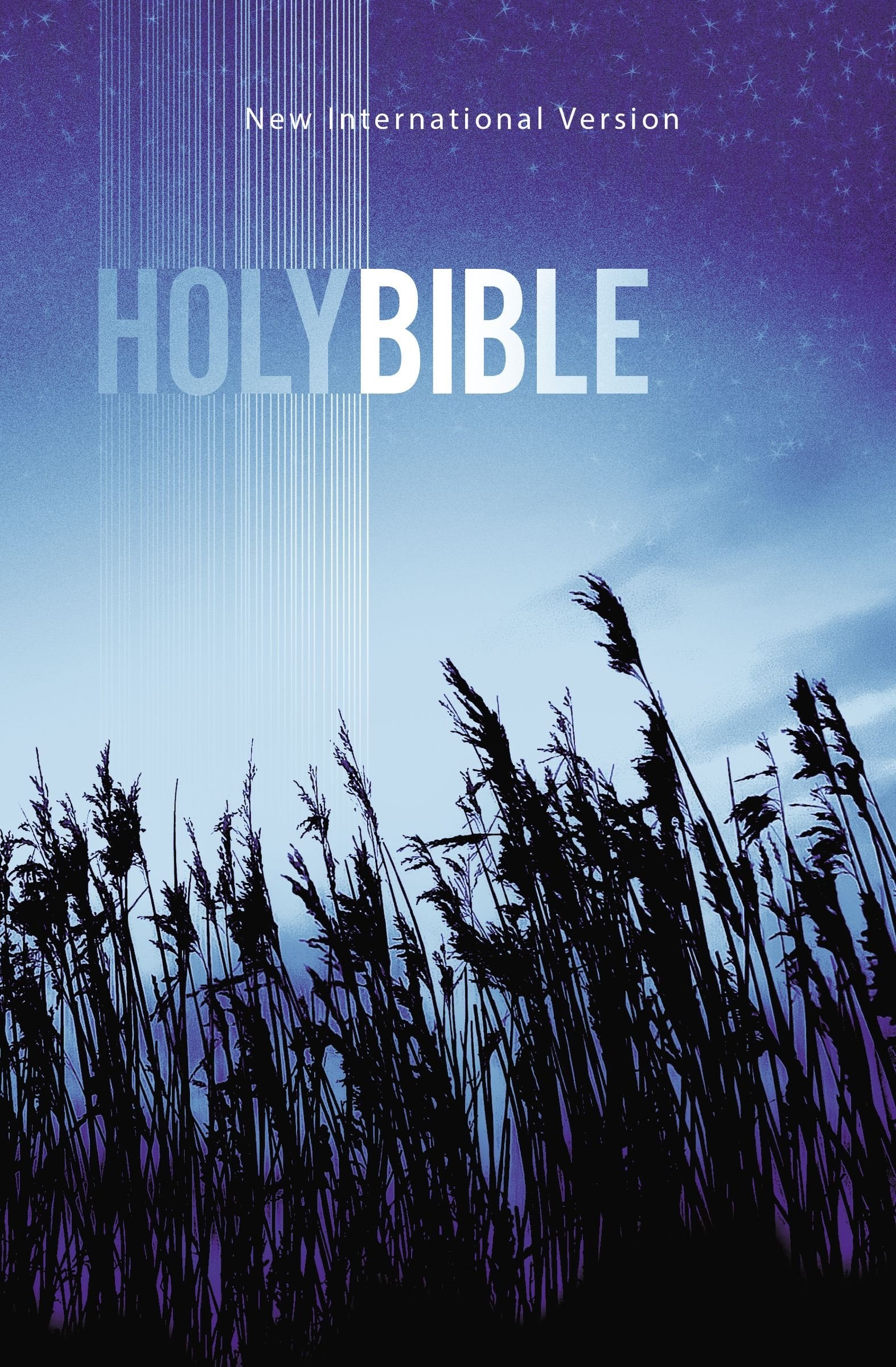 Holy Bible: New International Version Religion & Esotericism