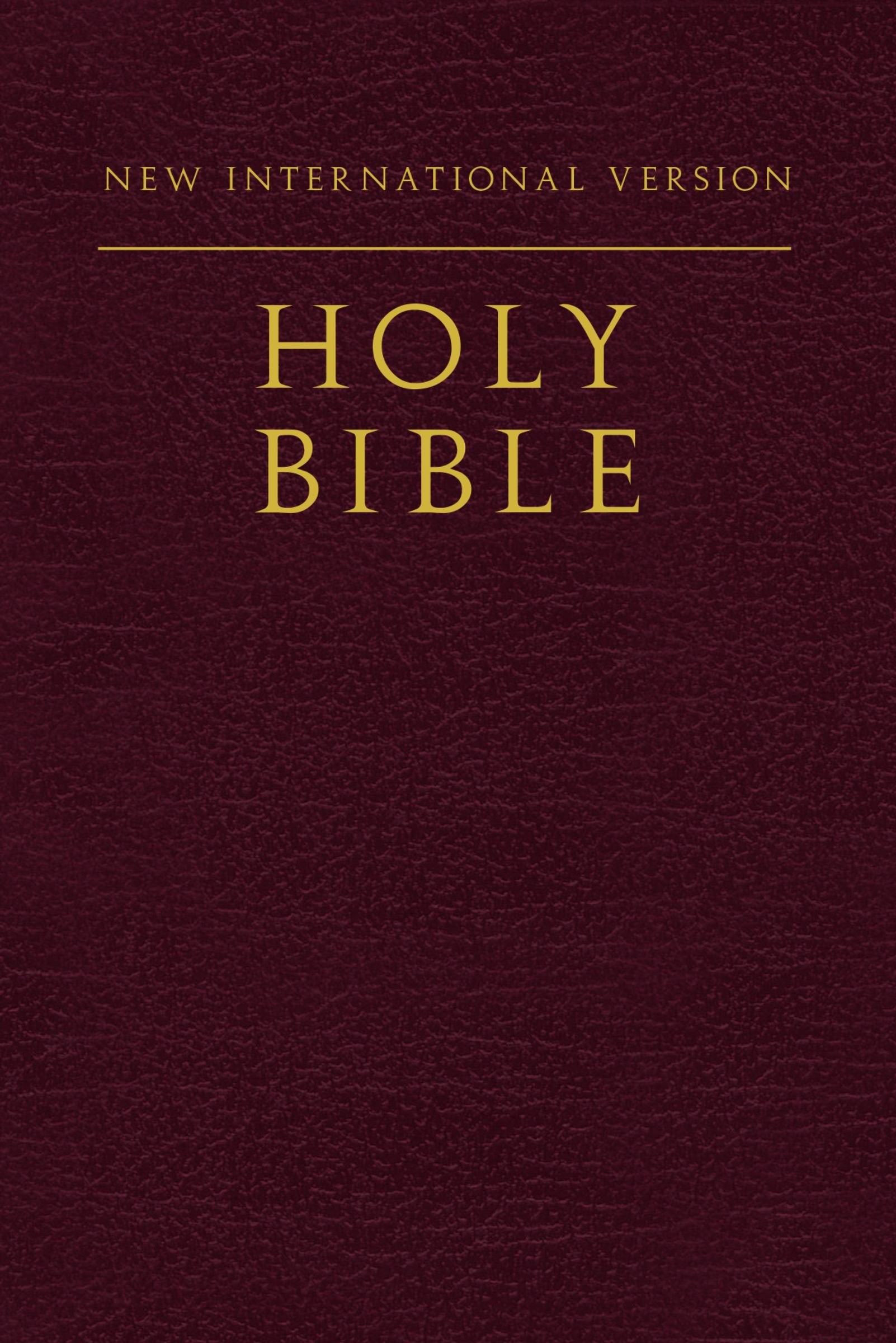 Holy Bible: New International Version, Burgundy Religion & Esotericism