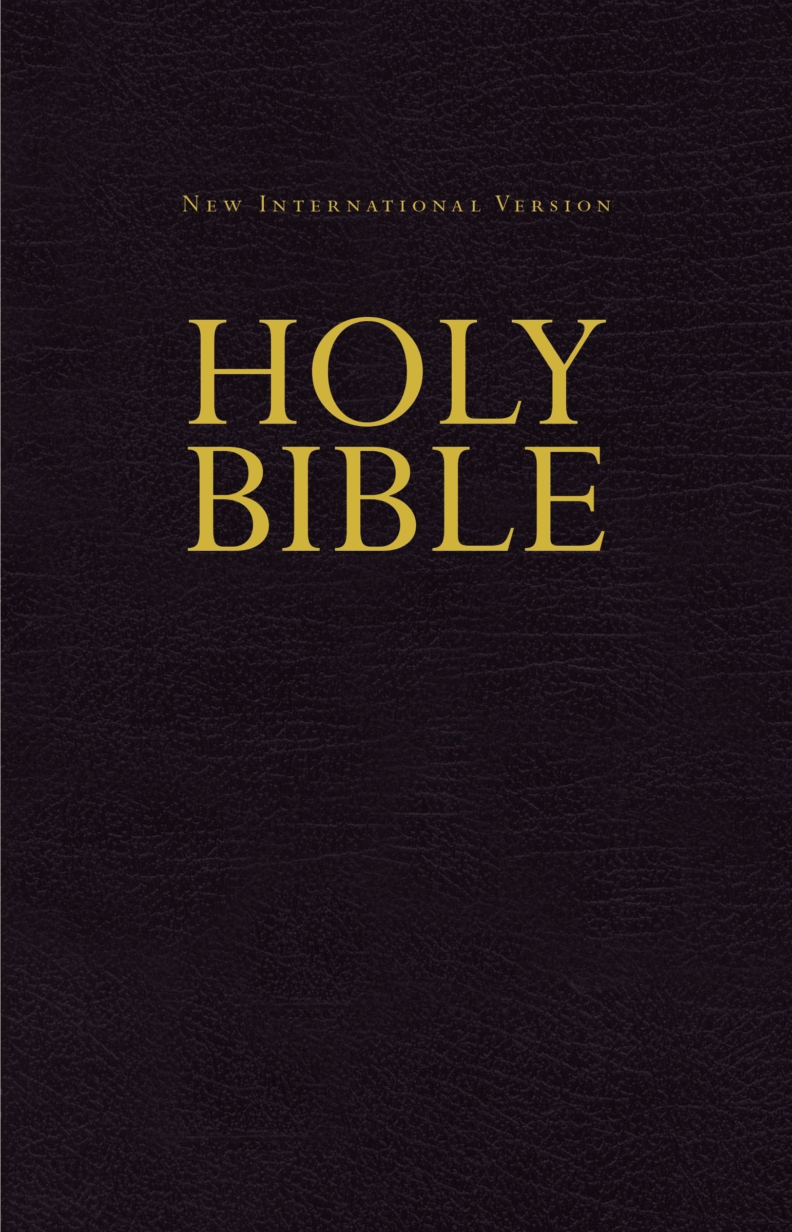 Holy Bible: New International Version, Economy Edition Religion & Esotericism