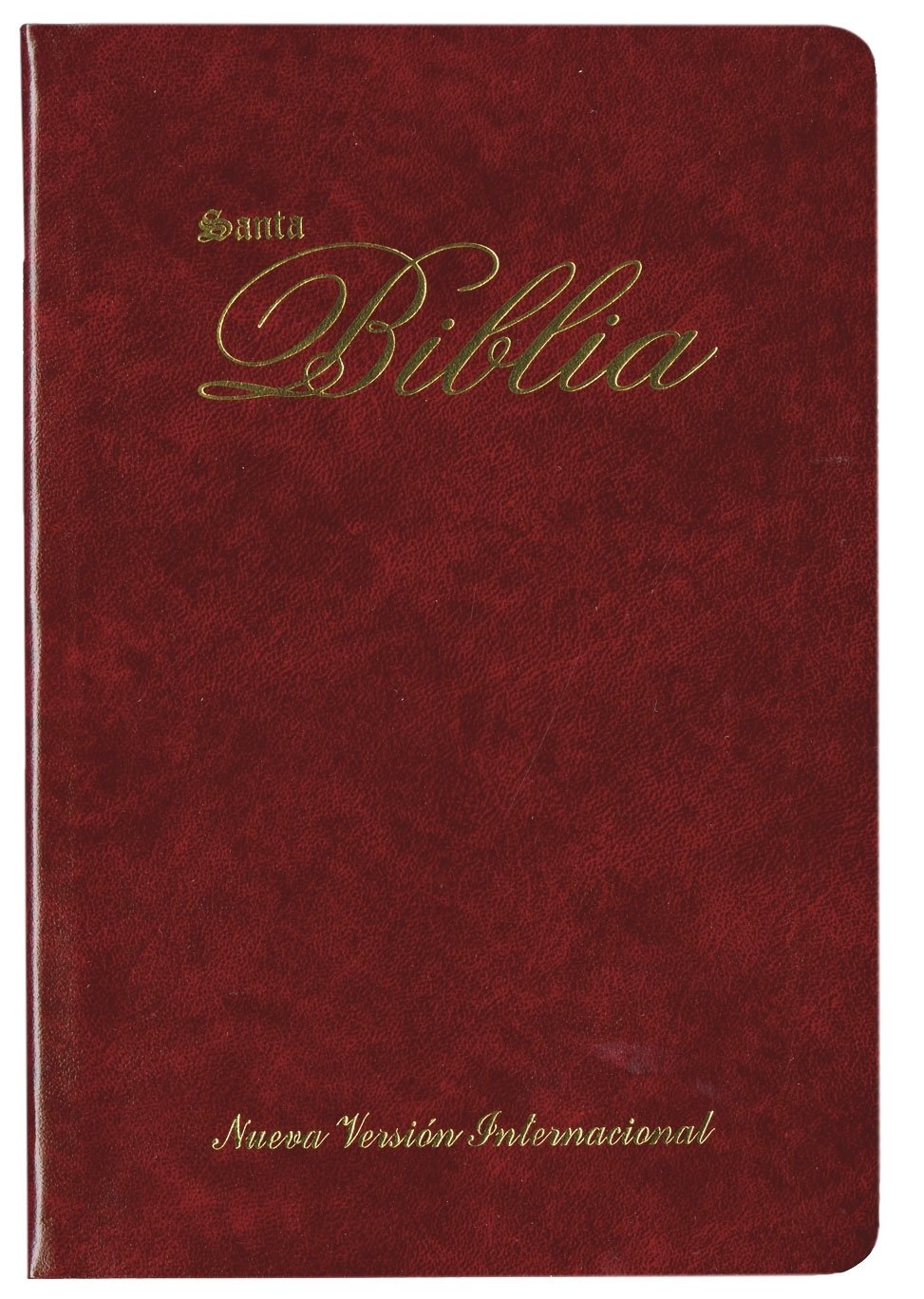 Holy Bible: Nueva Version International, Burgundy, Imitation Leather, Slimline Bible Religion & Esotericism
