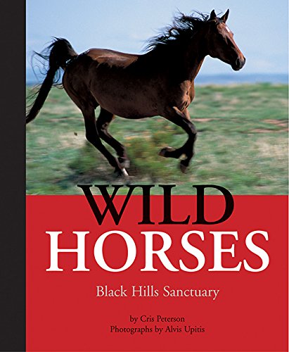 Wild Horses: Black Hills Sanctuary Non-fiction
